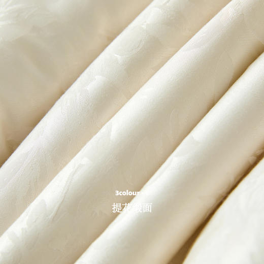 三彩【花影入梦】2025冬季新款90白鸭绒羽绒服宽松保暖围脖C 商品图3