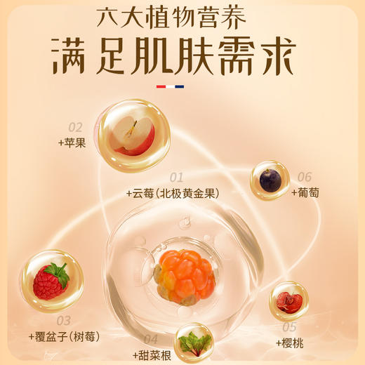 保税直发 SHIFT 气血小红瓶 10支/盒 1盒/3盒 商品图4