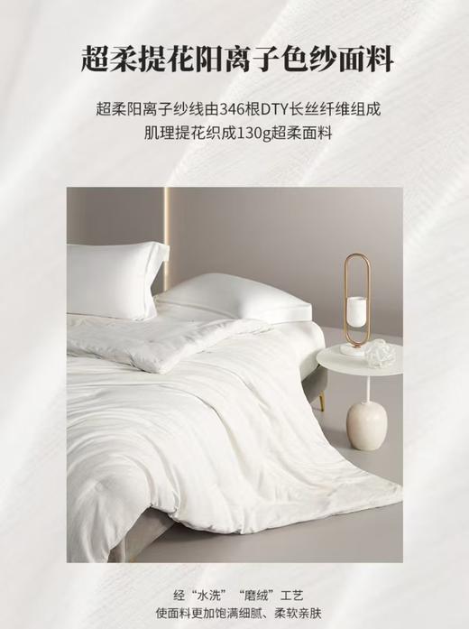 10楼 梦洁 水洗磨毛大豆四季被：七彩二代 吊牌价799元-899元活动价499元-599元 商品图2
