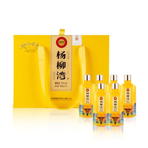 53°贵州杨柳湾酒·火的世界 商品图2