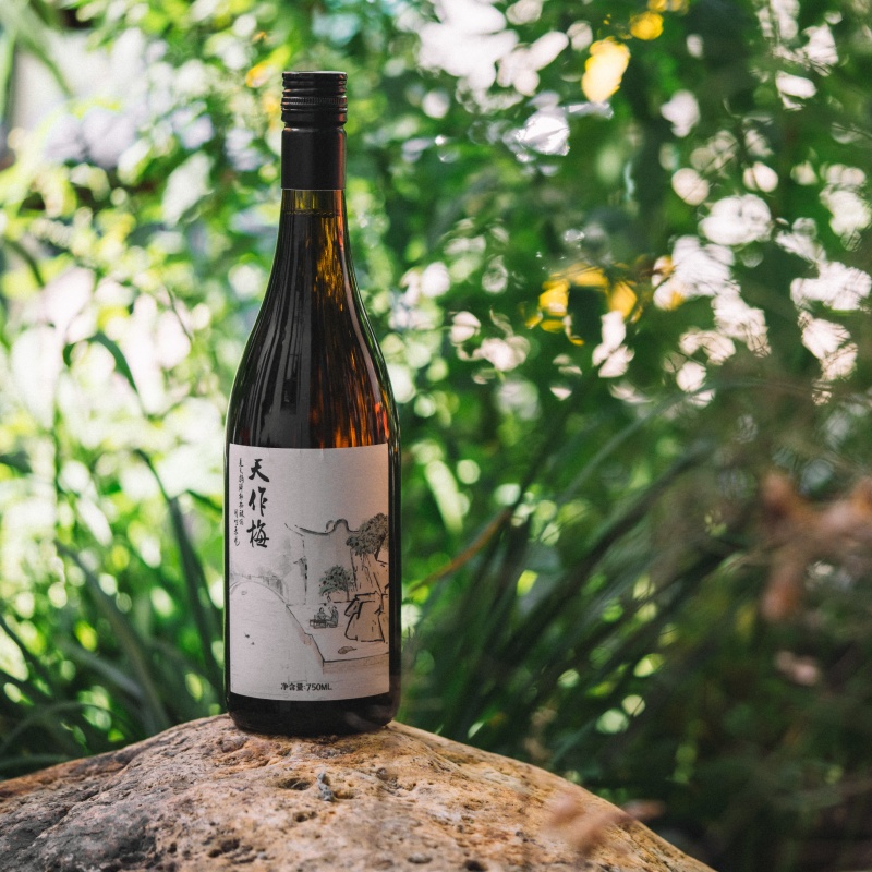 杨梅酒 传统黄酒酒曲 鲜杨梅果汁 原浆发酵 酸醇微甜 鲜爽生津