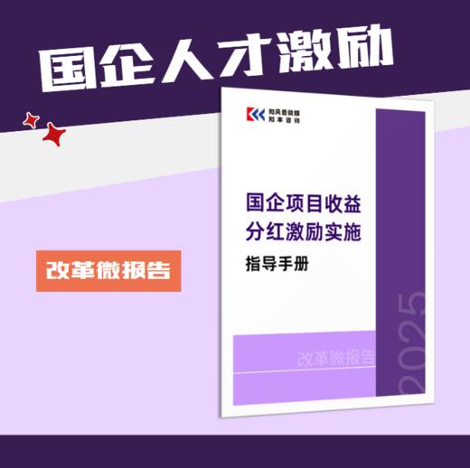 改革微报告 | 国企项目收益分红激励实施指导手册（2025年） 商品图0