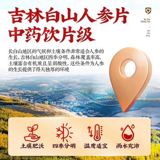 【福汉康专区】 正宗吉林长白山人参片正品官方旗舰店中药饮片10g切片泡水中大片 商品图3