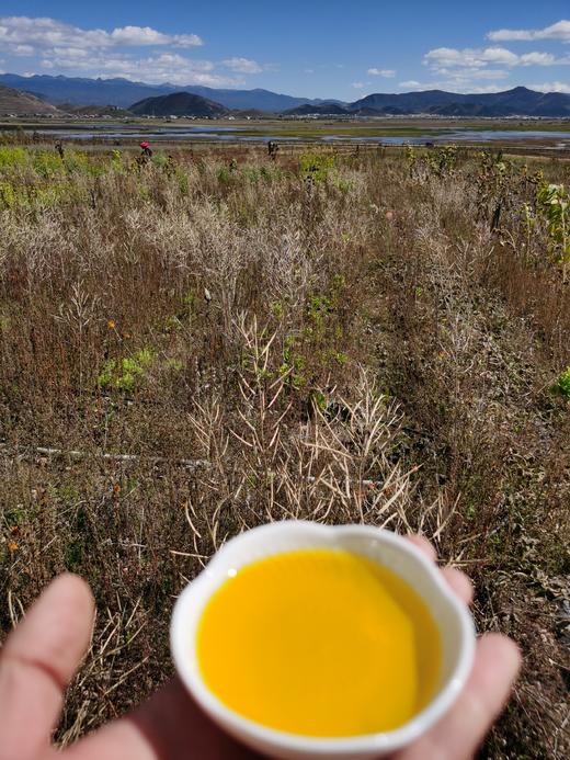 云南高原菜籽油1.5L/2.5L【基地直发】 商品图1
