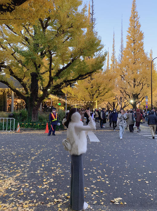 M/L码 金蘑菇菇 土耳其绒加厚针织裤 / 进口机一体绒工艺 商品图2