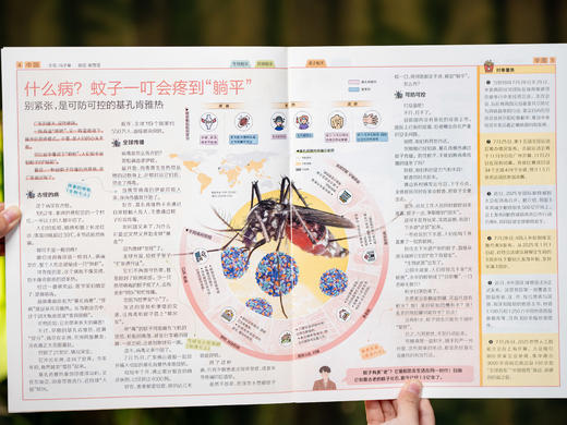 【百万家庭选择】《阳光少年报》2025年11月-2026年10月跨年刊预订｜足不出户通晓世界大事！ 商品图10