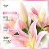 澳雪百合花香沐浴露2KG*2瓶 商品缩略图3
