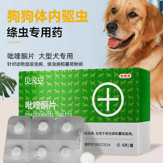 【积分兑换】雷米高体内驱虫打虫药宠物体内吡喹酮片(驱虫一粒清）6片 商品图1