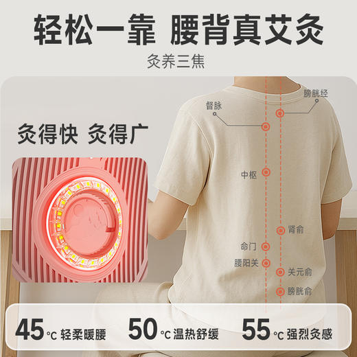 科爱元素腰背温阳仪丨 艾灸腰背 仿日光晒背 红光护腰 商品图1