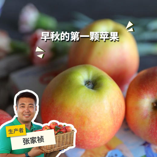 有机早熟苹果 | 合作生产 *Organic precocious apple | Partner Production 商品图0