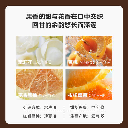 爱伲庄园 瑰夏挂耳 雨林联盟认证 有机精品挂耳咖啡10克*5袋/盒 商品图2