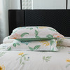 红蜻蜓 时尚全棉四件套-清韵悠梦 HQT-TJ8501 200*230cm 商品缩略图3