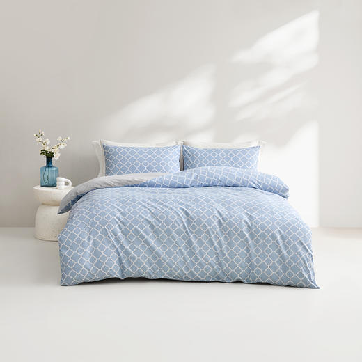 罗莱生活出品 LOVO家纺 蕾奇丝床品四件套200*230cm 商品图0