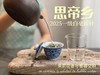 【新人初入】《春茶小花旦》2025春茶品鉴集，一本喝透白毫银针、白牡丹、春寿眉的春茶集 商品缩略图6