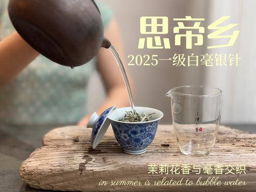 【新人初入】《春茶小花旦》2025春茶品鉴集，一本喝透白毫银针、白牡丹、春寿眉的春茶集 商品图6