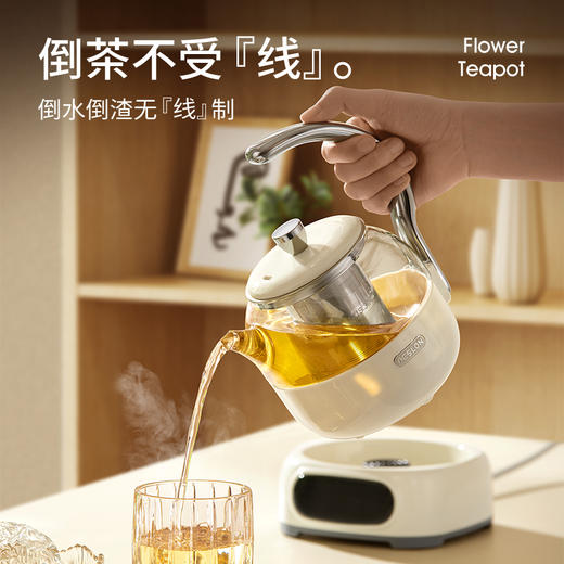 德世朗 DDQ-SH229花茶壶0.6L 商品图0