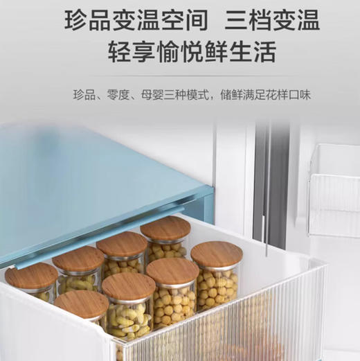 海尔（Haier）冰箱 BCD-481WGHFDB9S9U1 商品图8