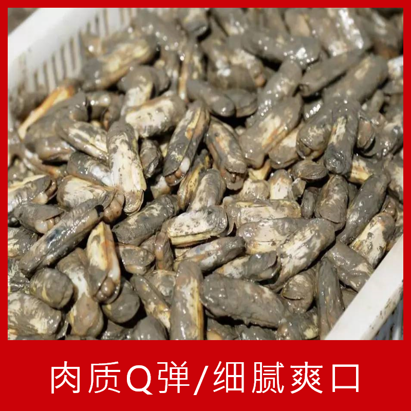 【海鲜】鲜活本港带泥蛏子250g