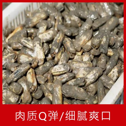 【海鲜】鲜活本港带泥蛏子250g 商品图0