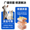 【澳龙】盐酸特比萘芬显克宁喷雾剂真菌感染狗狗猫咪宠物皮肤病猫癣药 皮肤喷剂1支 商品缩略图2