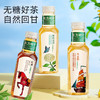 东方树叶茶饮料500ml*15瓶整箱装批发0脂肪红茶绿茶茉莉花茶饮品 商品缩略图2