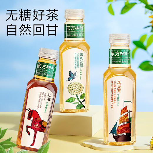 东方树叶茶饮料500ml*15瓶整箱装批发0脂肪红茶绿茶茉莉花茶饮品 商品图2