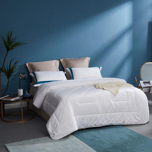 罗莱生活出品 LOVO家纺 珍悦澳洲羊毛丝绒被200*230cm 商品图1