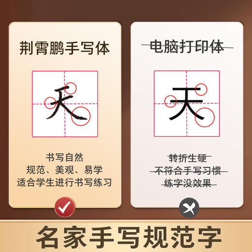 墨点楷书字帖练字成人荆霄鹏硬笔书法临摹练字帖大学生初学者入门基础教程正楷控笔训练钢笔练字本初中高中生笔画偏旁部首间架结构 商品图4