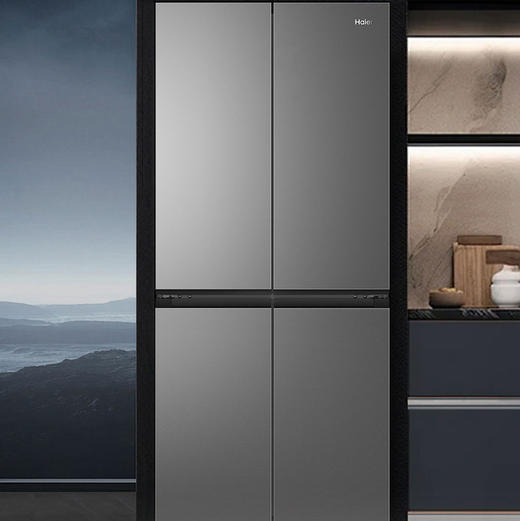 海尔（Haier）冰箱 BCD-491WGHTDB9BFU1 商品图2