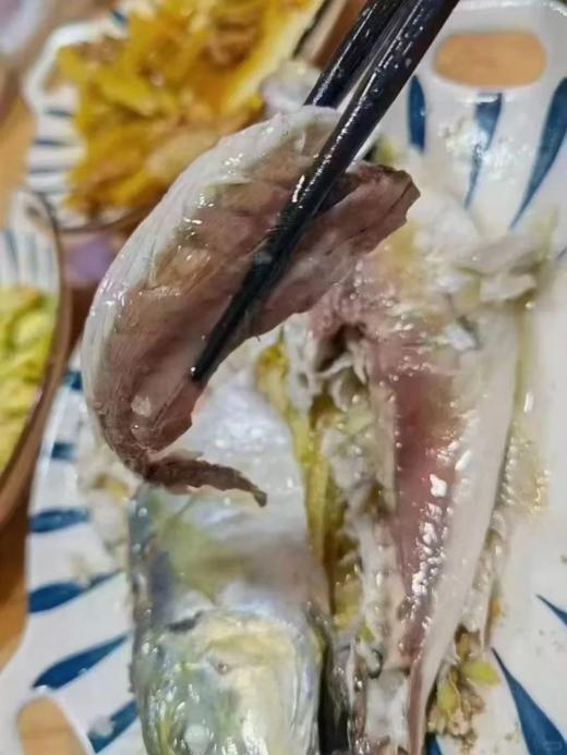 &  东山岛巴浪鱼 大海行走的氨基酸[社会社会]活冻 商品图5