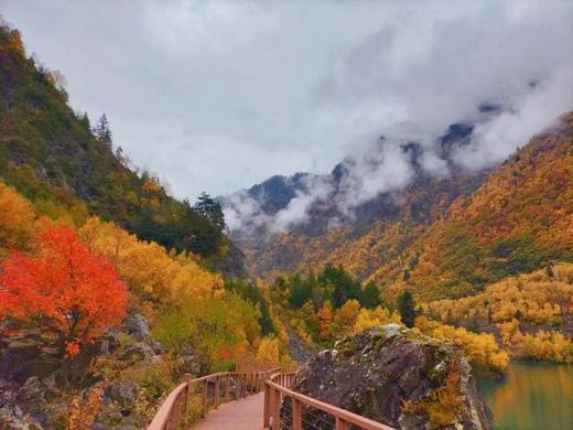 【四川小九寨·松坪沟红叶彩林季】¥65抢单人门票抢先买！指定日期可用！彩林红叶·湖泊海子·栈道秋色…2天打来回～ 商品图3