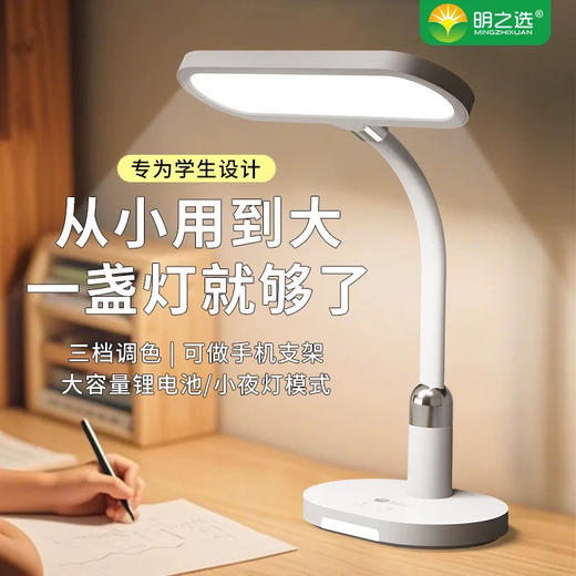明之选MZX-806锂电软管台灯 商品图1