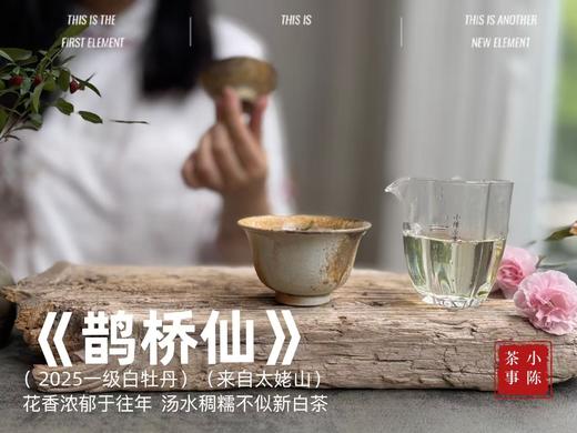 【新人初入】《春茶小花旦》2025春茶品鉴集，一本喝透白毫银针、白牡丹、春寿眉的春茶集 商品图9