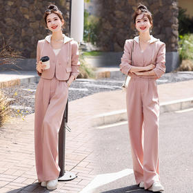 休闲西装套装秋气质御姐高级感新款时尚阔腿裤两件套 YF9595
