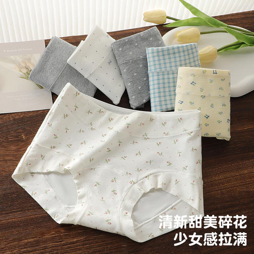 【3条装】10A抑菌奶油碎花纯棉小平角内裤女舒适全包臀加长裆2876多色平角内裤 商品图7