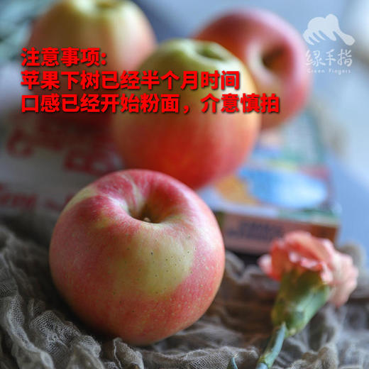 有机早熟苹果 | 合作生产 *Organic precocious apple | Partner Production 商品图1
