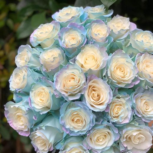 厄瓜多尔进口染色玫瑰Sweet Aurora Bori蓝色欧诺拉10支 商品图0