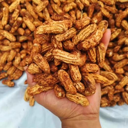 2025新货 云南高原七彩鲜花生 新鲜采摘 带泥带壳发货 商品图4