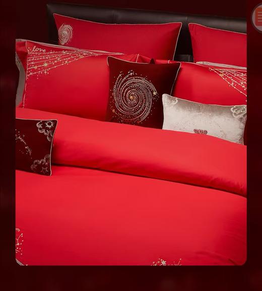 10楼 梦洁 纯棉绣花四件套 吊牌价2999元 活动价1999元 商品图4