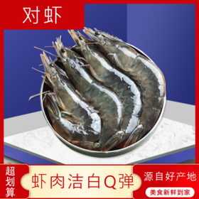 【海鲜】鲜活对虾/基围虾 约250g/份