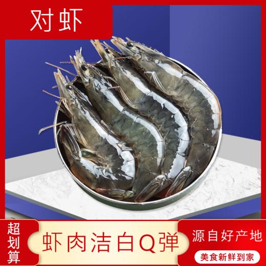 【海鲜】鲜活对虾/基围虾 约250g/份 商品图0
