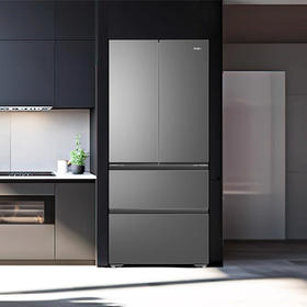 海尔（Haier）冰箱 BCD-491WGHFDB5BFU1