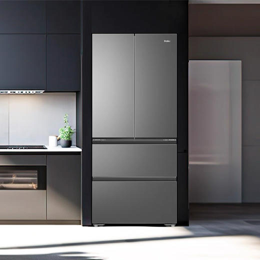 海尔（Haier）冰箱 BCD-491WGHFDB5BFU1 商品图0