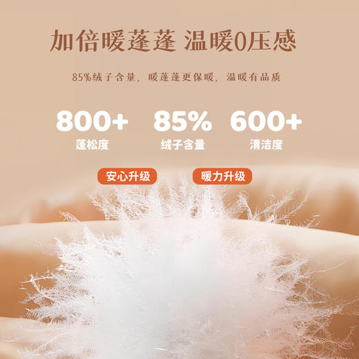 贝贝怡宝宝羽绒外套2025秋冬新款男童可爱保暖羽绒服ZB4ES005 商品图3