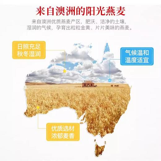 核桃高钙燕麦片700g高钙+高纤+维生素D改善饮食不规律加班熬夜营养补给 商品图5