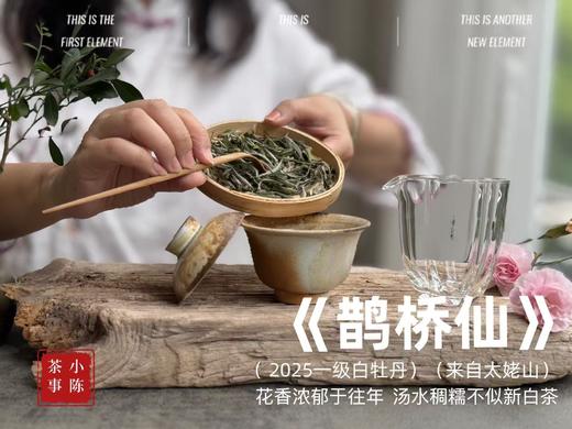 【新人初入】《春茶小花旦》2025春茶品鉴集，一本喝透白毫银针、白牡丹、春寿眉的春茶集 商品图8