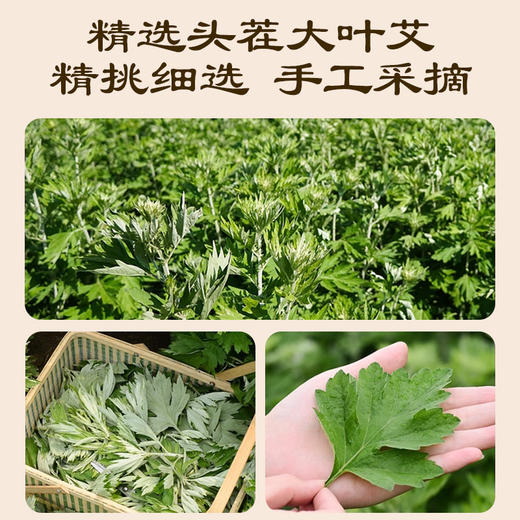 【6盒 直降15】兰渚堂 陈年艾条 1.8*20cm 3年艾条 商品图1