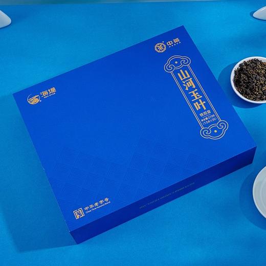 中茶 海堤 山河玉叶 浓香型 铁观音 茶叶 礼盒 商品图3