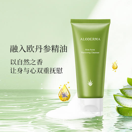 【买就送凝胶5g*3】瑷露德玛芦荟祛痘深层洁肤露 100g    清洁控油祛痘洁面 商品图3