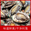 【海鲜】鲜活10头鲍鱼/个 商品缩略图1
